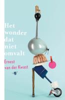 Het wonder dat niet omvalt (Paperback) Het wonder dat niet omvalt (Paperback)