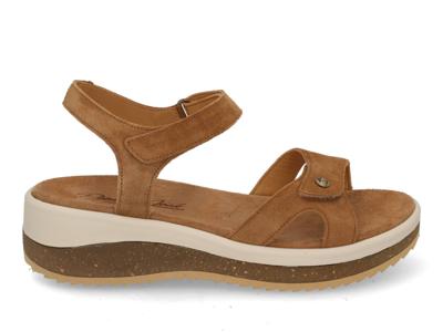 Panama Jack Alice B1 bark Cognac maat 39 Panama Jack Alice B1 bark Cognac maat 39