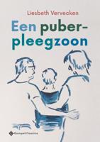 Een puber-pleegzoon (Paperback)