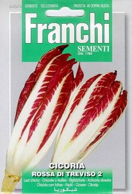 Roodlof, Cicoria Rossa Di Treviso 40/4 - Franchi