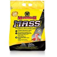 Mammoth Mass (Mammoth 2500) 6800gr Aardbei