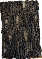 Kurk plaat 30 x 20 cm Repto - Repto Kurk plaat 30 x 20 cm Repto - Repto