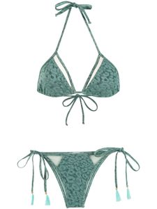 Brigitte bikini à imprimé léopard - Vert