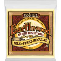 Ernie Ball 2043 Earthwood Silk & Steel Regular snarenset