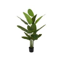 present time - Artificial Plant Canna - thumbnail