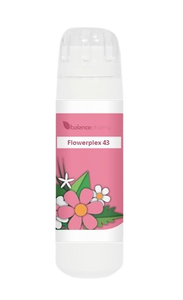 Balance Pharma Flowerplex 043 Intuitie