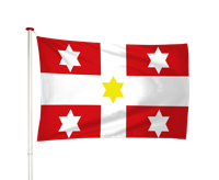 Vlag Vollenhove