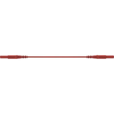 Schützinger MSFK A341 / 1 / 200 / RT Veiligheidsmeetsnoer Stekker Stekker 200 cm Rood 1 stuk(s)