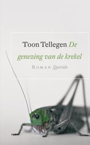 De genezing van de krekel (Paperback)