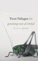 De genezing van de krekel (Paperback)