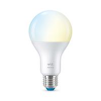 WiZ Lichtbron13W - E27 - Led 2700-6500K - 929002449602