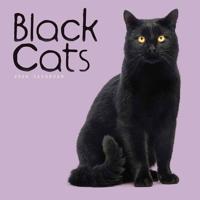 Zwarte Katten Kalender 2026
