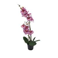 Phalaenopsis Orchidee in pot x2 50 cm Tiger Cerise kunstplant Buitengewoon de Boet - Buitengewoon de boet