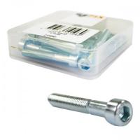 Bofix inbusbout m6 x 40 rvs (12 stuks)
