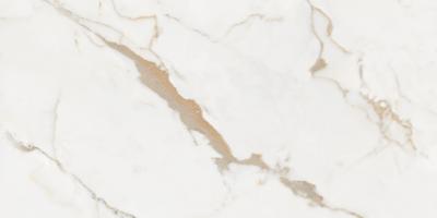 Dateg Calacatta Gold 60*120 glans Inhoud doo 1,44