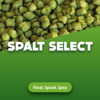 Hopkorrels Spalt Select 2024 5 kg