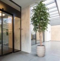 Ficus Exotica Kunstboom Deluxe 300cm groen Ficus Exotica Kunstboom Deluxe 300cm groen