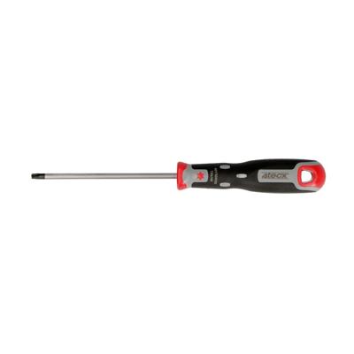 4tecx Torx schroevendraaier T20 - 100mm