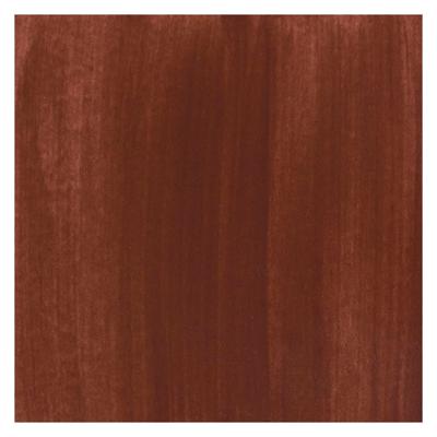 Bruynzeel Ecola plakkaatverf fles 16ml brown 400