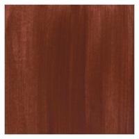 Bruynzeel Ecola plakkaatverf fles 16ml brown 400