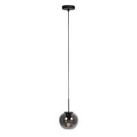 Steinhauer HanglampHaloSwap met 1 bol smoke glas Ø 15cm - 4291ZW