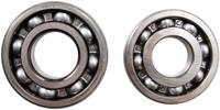 ALL BALLS Racing krukas lagerset crankshaft bearing set ab 24-1058