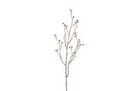 Decostar kunsttak Eryngium S 75 cm roze