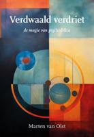Verdwaald verdriet (Paperback)