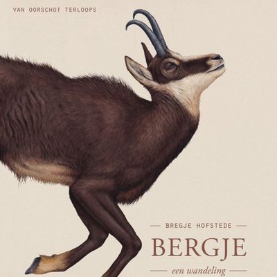 Bergje