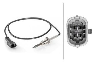 Sensor, uitlaatgastemperatuur 6PT014494341