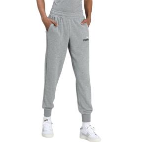 PUMA Essentials+ 2 Logo Joggingbroek Grijs