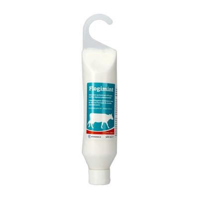 Flogimint Uiercreme Tube 400ml