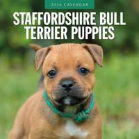 Staffordshire Bull Terrier Puppies Kalender 2026