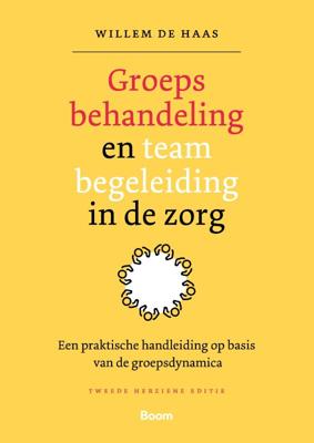 Groepsbehandeling en teambegeleiding in de zorg (Paperback)