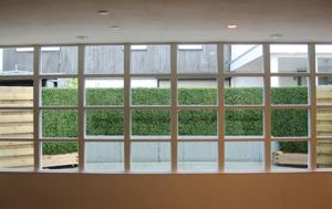 Buxus kunstmatje x300 - UV bestendig