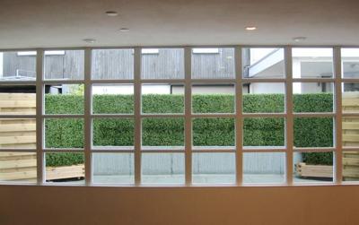 Buxus kunstmatje x300 - UV bestendig