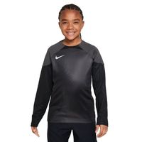 Nike Gardien IV Keepersshirt Lange Mouwen Kids Grijs Zwart - thumbnail
