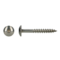 pgb-Europe PGB-FASTENERS | HPL schroef platbolkop Tx20 4,8x32 A4 TRESP0A00004800323