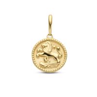 Minimalistische sterrenbeeld bedel - 14K GOUD - Leo - leeuw - Goud
