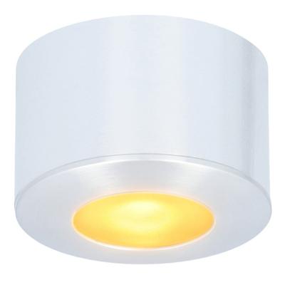 Navarra Mini LED Opbouwspot - 12 Volt 3 Watt 200 lumen - Dimbaar - Plat 21.5mm - 2700K - IP44 waterdicht - Aluminium