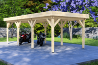 Carport 300x700 cm plat dak- Plat dak- - Van Kooten - Van Kooten