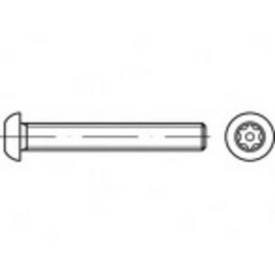 TOOLCRAFT TO-5380251 Veiligheidsschroeven M8 60 mm Binnen-T 88116 RVS A2 100 stuk(s)