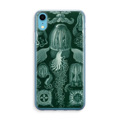 Haeckel Cubomedusae: iPhone XR Transparant Hoesje