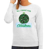 Wiet Kerstbal sweater / outfit All i want for Christmas grijs voor dames - thumbnail