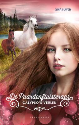 De Paardenfluisteraar (Hardback)