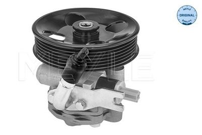 Servo pomp 37146310010