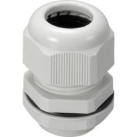 TRU COMPONENTS 1593313 Wartel M20 Polyamide Grijs-wit (RAL 7035) 1 stuk(s)