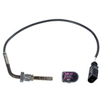 Uitlaatgastemperatuursensor 170462