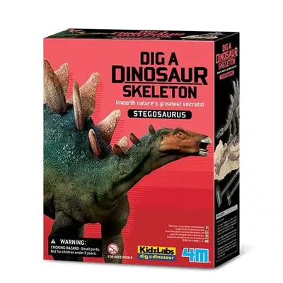 4M kidzlabs uitgraven stegosaurus
