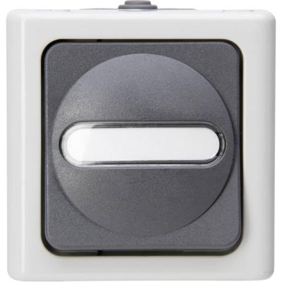 Kopp 561456001 BlueElectric Compleet Knop spatwaterdicht Grijs 1 stuks 1 stuk(s)
